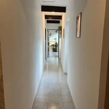 Appartement 100 M2 De Charme Laudun